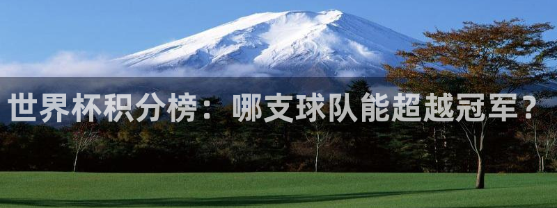 世界杯决赛预测：世界杯积分榜：哪支球队能超越冠军？
