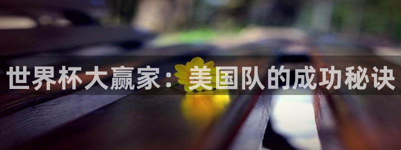 男足世界杯预选赛赛程：世界杯大赢家：美国队的成功秘诀