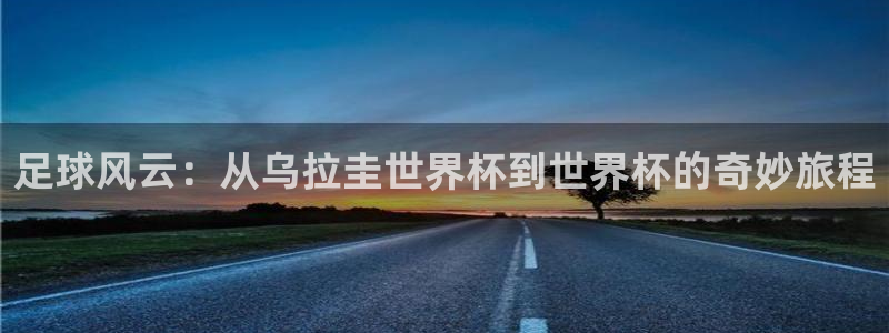 26世界杯：足球风云：从乌拉圭世界杯到世界杯的奇妙旅程