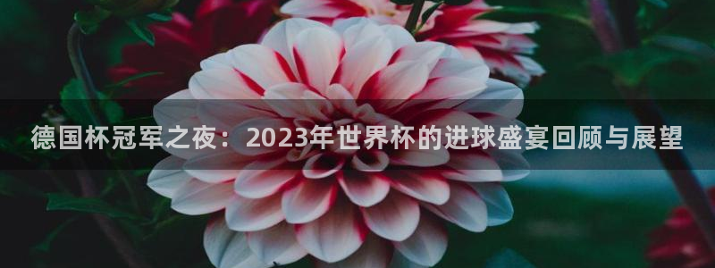 世界杯预选赛亚洲区赛程：德国杯冠军之夜：2023年世界杯的进球盛宴回顾与展望
