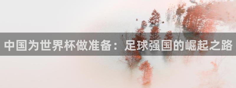 欧洲世预赛赛程表：中国为世界杯做准备：足球强国的崛起之路