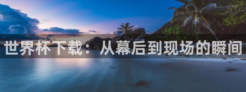 2026世界杯德国队阵容：世界杯下载：从幕后到现场的瞬间