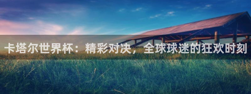 2026年世界杯直播平台：卡塔尔世界杯：精彩对决，全球球迷的狂欢时刻