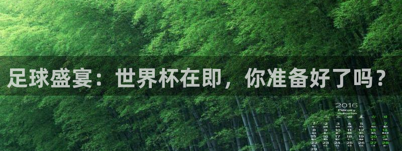 足球世界杯2026：足球盛宴：世界杯在即，你准备好了吗？